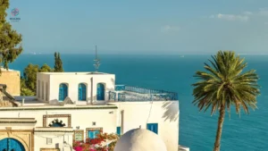 Casa blanca con ventanas azules con fondo de mar al final y palmera al lado. 