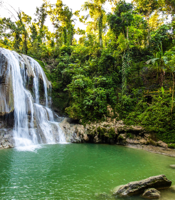 Cascada rodeada de vegetación tropical en Puerto Rico, naturaleza virgen y aguas cristalinas.
