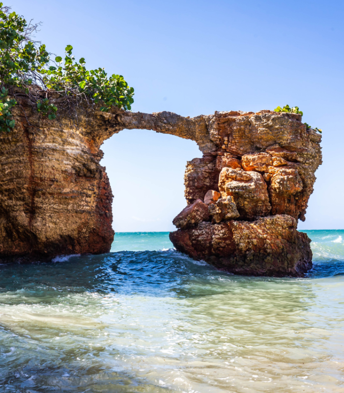 mar y piedra de vegetación tropical en Puerto Rico, naturaleza virgen y aguas cristalinas.